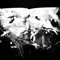Image 14 of Anders Petersen "French Kiss"