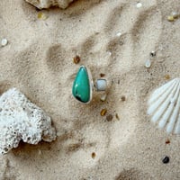 Image 1 of Tide Meets Treasure 