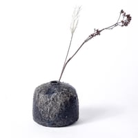 Image 1 of Soliflore, Cuisson Bois #2