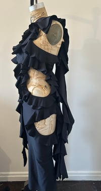 Image 3 of Ruffle 3 