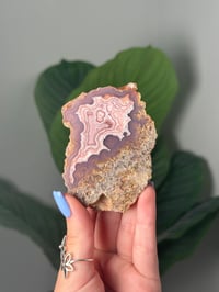 Image 1 of MOSSY PINK LAGUNA AGATE
