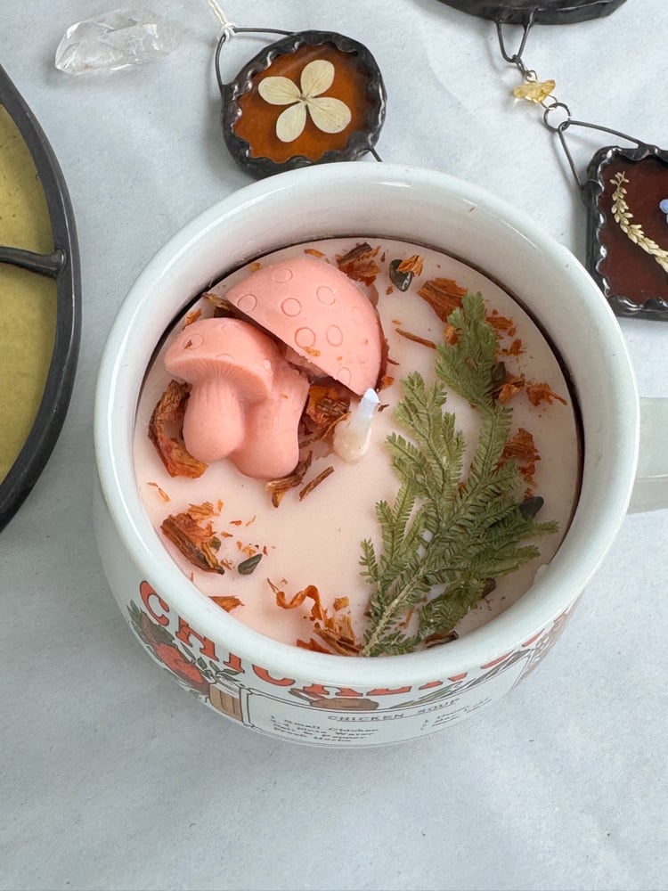 chicken soup