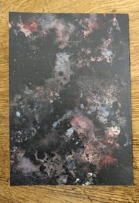 Image 7 of Fungi Vol. 8 