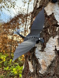 Image 4 of Night-Light Wall Flyer Sculptures - CHOOSE Your Dragon!