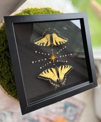 Image 2 of Swallowtail Twins