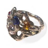 Image 1 of Rainbow Weaver