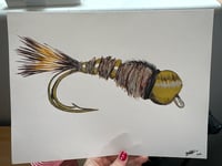 Gold Ribbed Hares Ear 