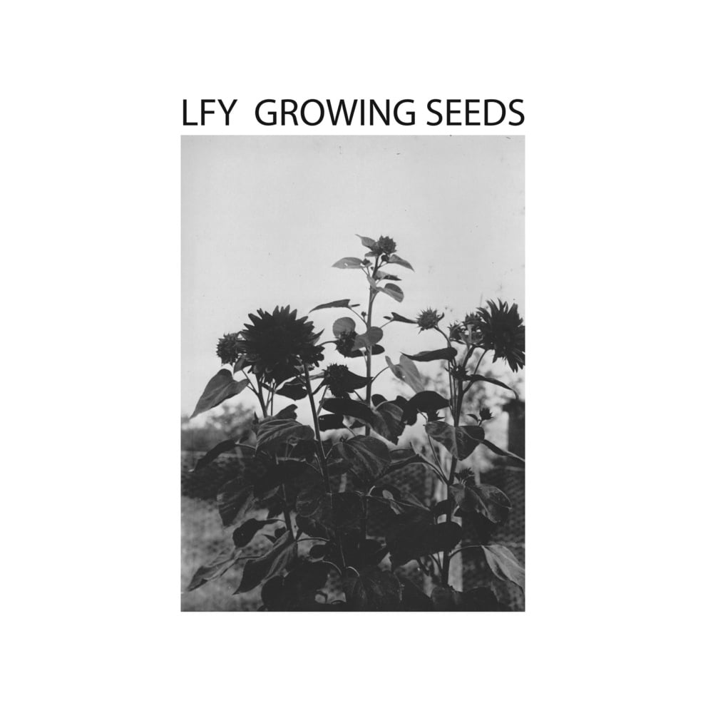 Image of LUST FOR YOUTH - Growing Seeds LP