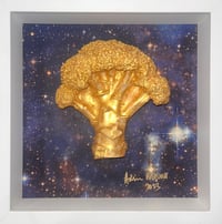 Orion Broccoli 