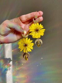 Image 1 of 🌼Yellow Daisy Shaniquas🌼