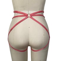 Image 2 of Cassie Harness