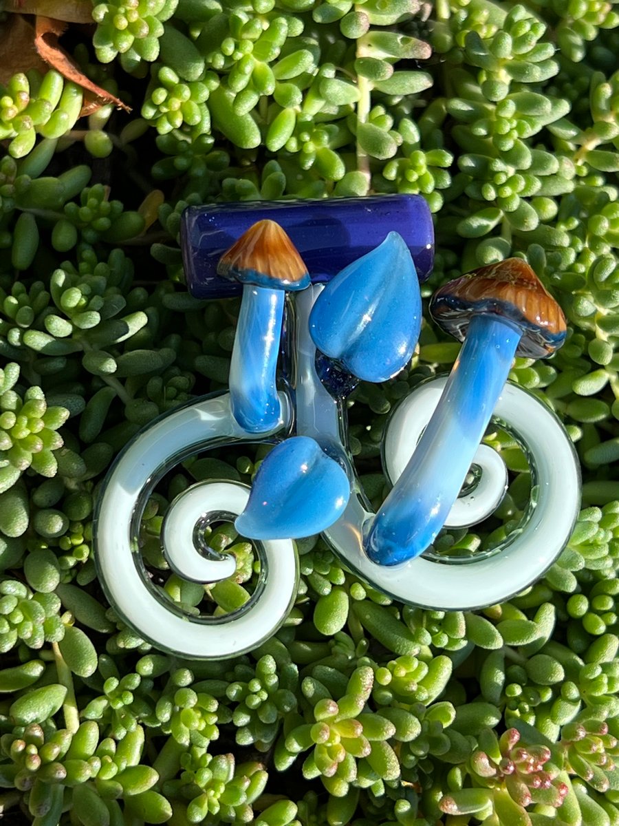 Image of Blue Leaf Mushroom Vine
