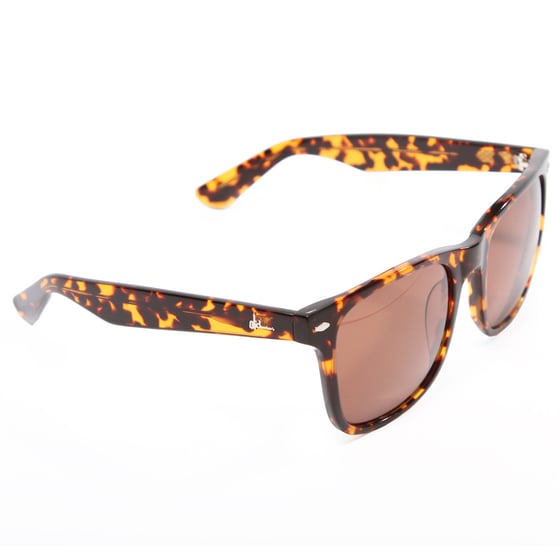 Image of Autumn 2012 Cali Sunglasses
