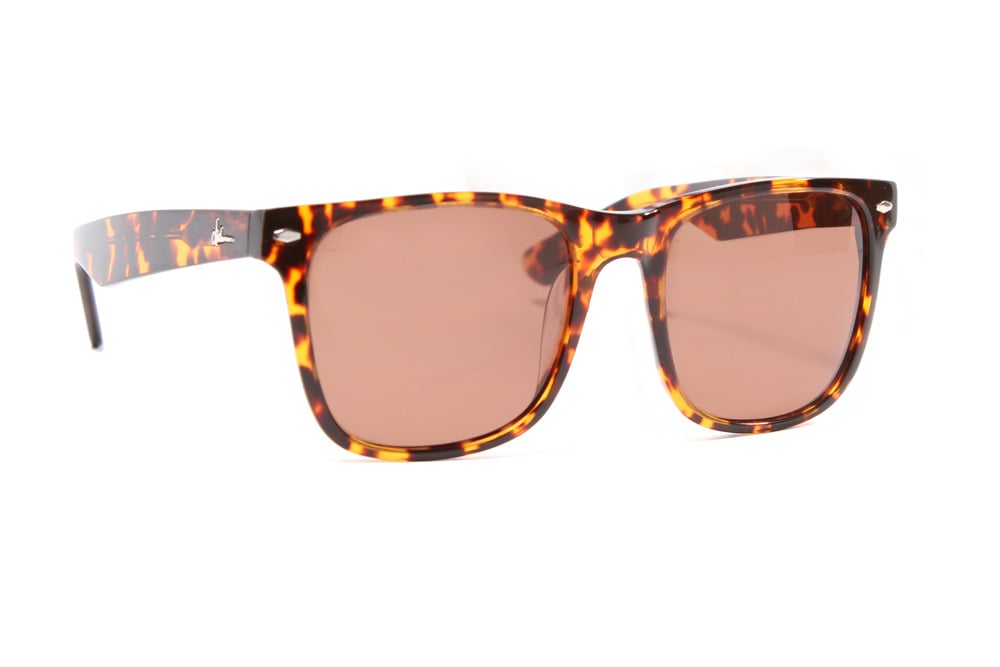 Image of Autumn 2012 Cali Sunglasses