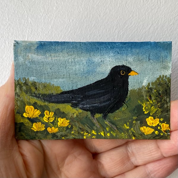Image of blackbird with buttercups 