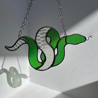 Image 3 of Snakeskin Snake