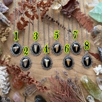Image 2 of Shark Tooth Necklace