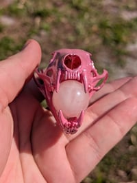 Image 3 of Pearly Pine Marten 