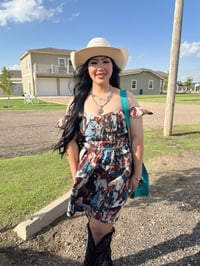 Image 1 of Horse Cupcake dress