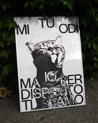 TU MI ODI IO PER DISPETTO TI AMO