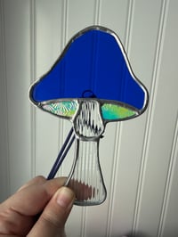 Image 4 of Mushrooms