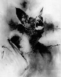 Image 2 of Vampire Bat Art