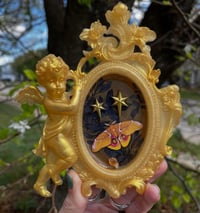 Image 1 of Custom ordered cherub frame for madison 