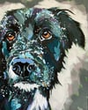 Custom Dog Portrait - “Hudson”