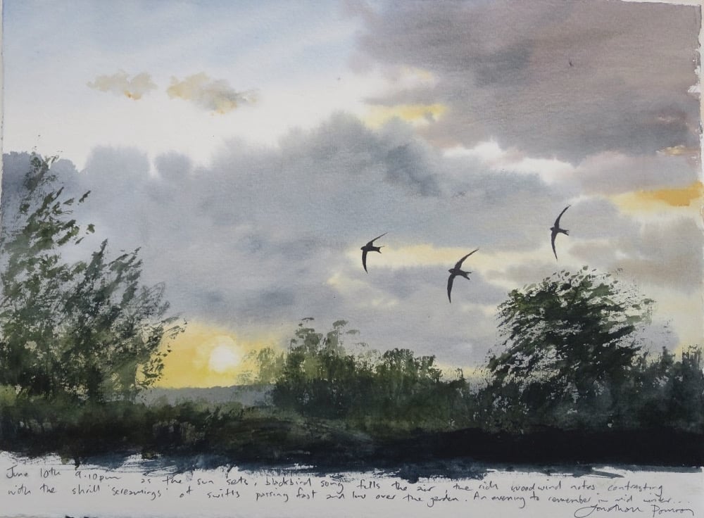 Image of Swift trio- June 10th