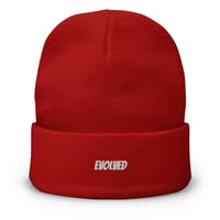 Image 5 of EVOLVED Beanie