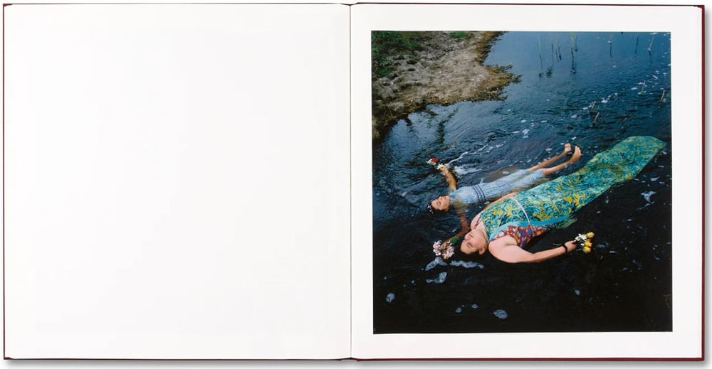 Alessandra Sanguinetti - The Adventures Of Guille And Belinda