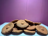 Image 7 of Red Khadi Flowers