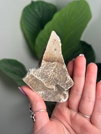 Image 2 of DENDRITIC FELDSPAR -ITALY- E