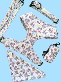 Image 1 of 626 Pup Collection 