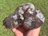 Image 1 of Smoky Quartz & Red Rutile Enhydro Multi Terminated Crystal | Zambia #3052