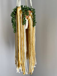 Image 3 of Yellow Fringed Plant Hanger 