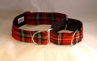 Image 1 of Scottish Tartan Martingale Collar