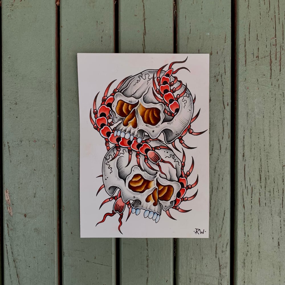 C E N T I P E D E & S K U L L S