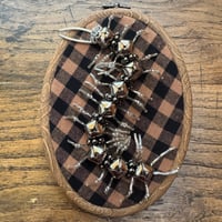 Image 4 of Jinglepede (b, 4x5 inches )