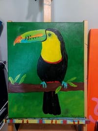 Image 3 of The Toucan