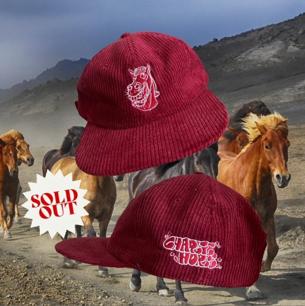 Image of Charlie cord hat CARDINAL