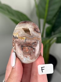 Image 6 of SANGRIA LACE AGATE PALM STONES LOT 1