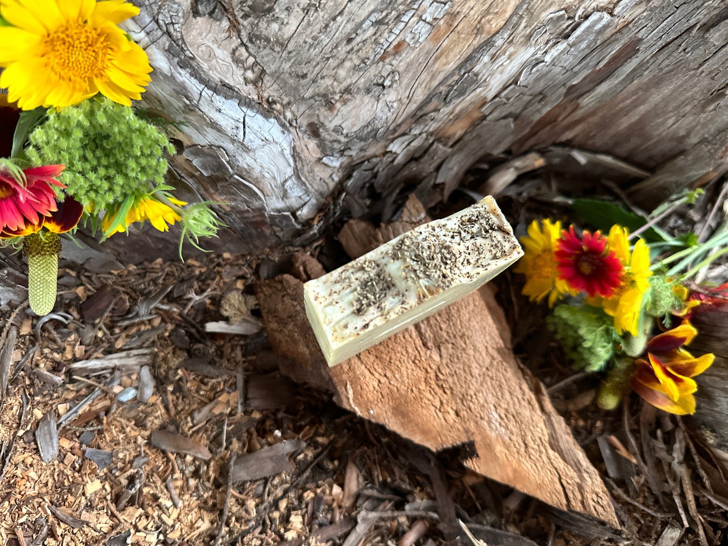 Image of Rosemary & Mint