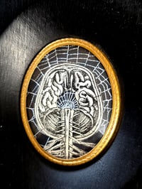 Image 3 of ANTIQUE ANATOMICAL COLLECTION - Preserved web- BRAIN