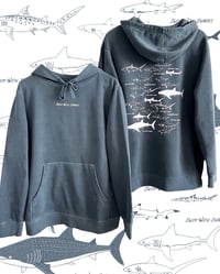 Image 1 of Coexist Hoodie - Slate Blue 
