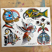 Flash Sheet #14