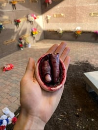 Image 1 of Decaying Finger and Thumb in Oval Frame 2