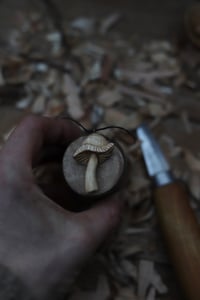 Image 2 of Silver Birch Mushroom 