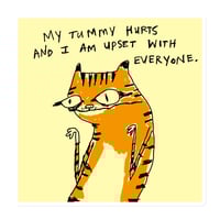 Image 1 of tummy Magnet 
