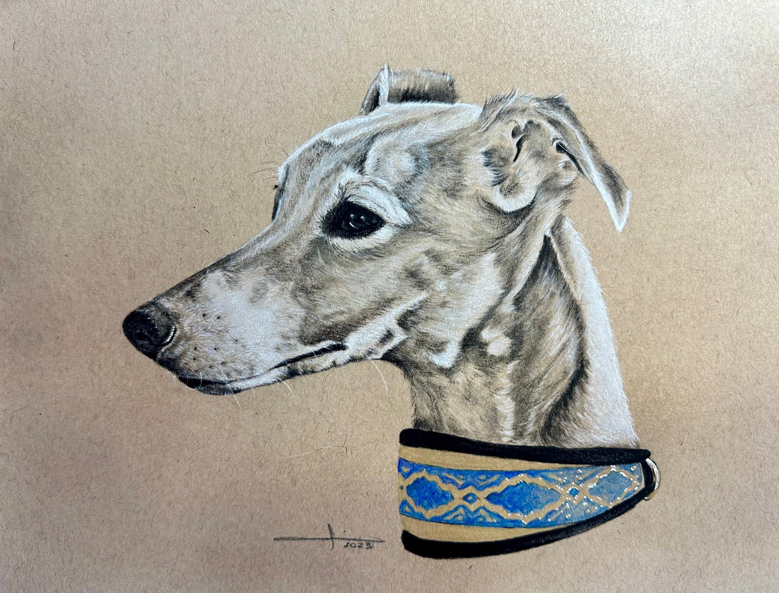 PLAN C CAROLINA SELF PORTRAIT グレー L PLAN C CAROLINA SELF PORTRAIT グレー L PLAN C CAROLINA SELF